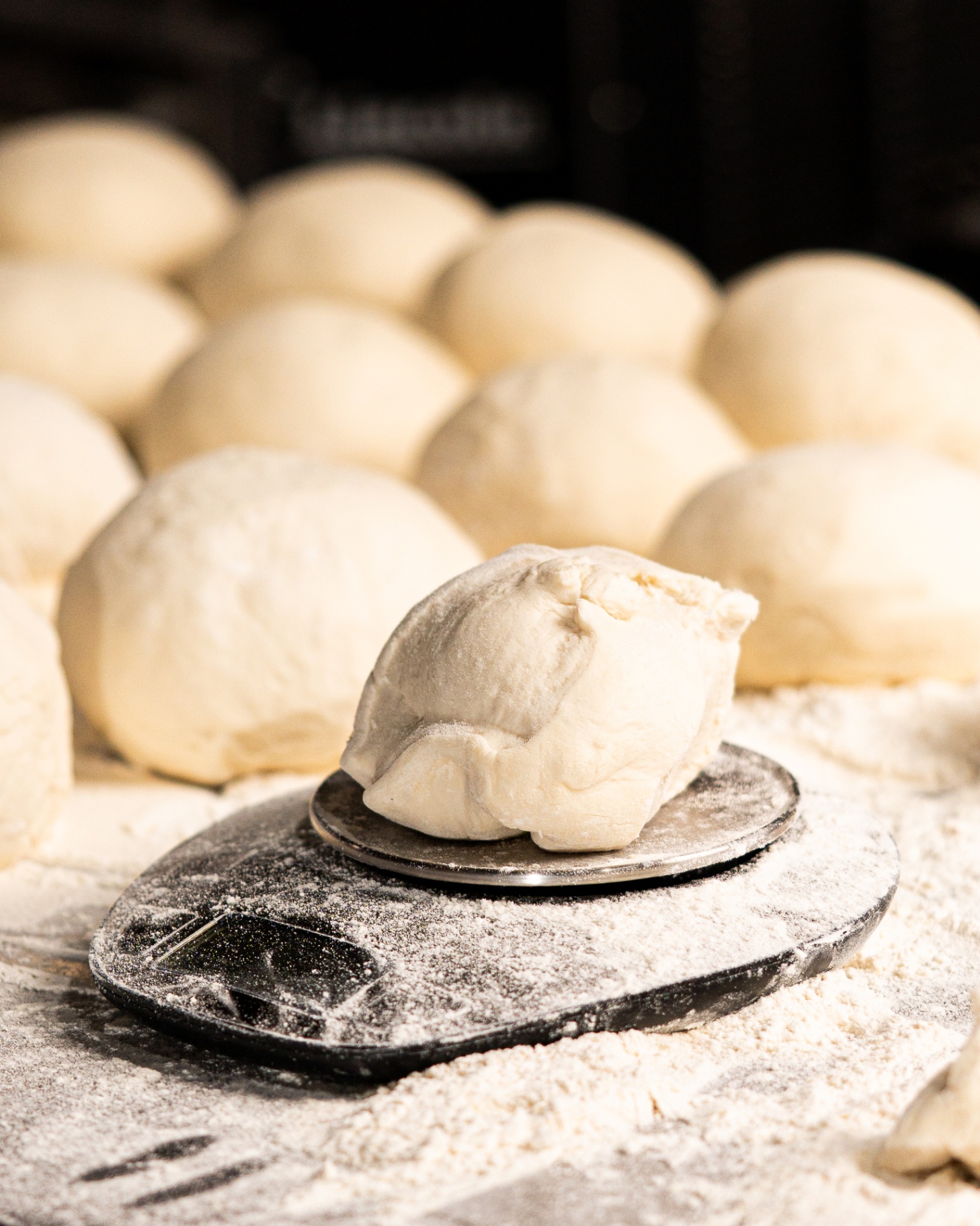 Pizzario dough ball on a scale with rows of proofing dough behind